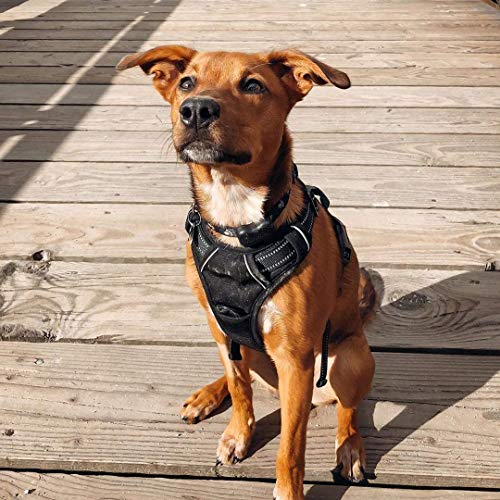 rabbitgoo Arnes Antitirones Perro Midano Malla Confortable Transpirable Lineas Reflecantes Arnés Acolchado Ajustable con Asa y Enganche Color Negro