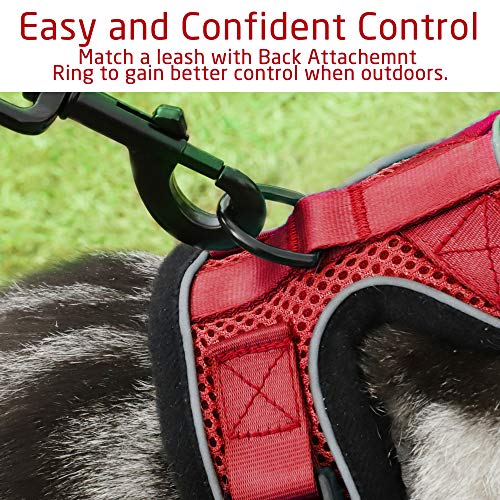 rabbitgoo Arnés para Gatos y Correa 150 cm Cuerda Chaleco Ajustable Antitirones Cómodo Material fácil de Poner y Quitar para Entrenamiento Seguridad Arnes para Perro Conejos Mascotas Pequeño XS Rojo