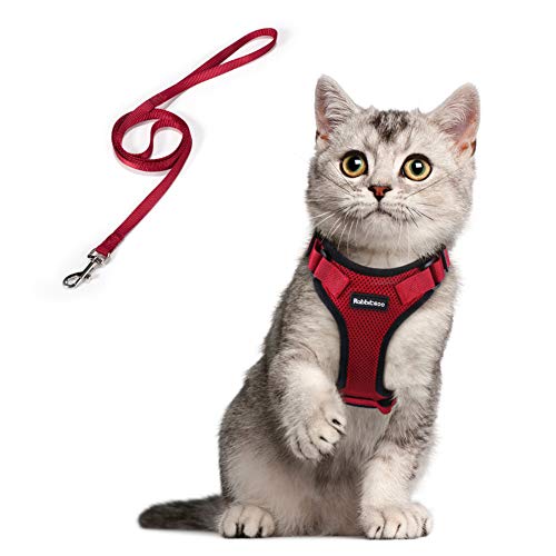 rabbitgoo Arnés para Gatos y Correa 150 cm Cuerda Chaleco Ajustable Antitirones Cómodo Material fácil de Poner y Quitar para Entrenamiento Seguridad Arnes para Perro Conejos Mascotas Pequeño XS Rojo