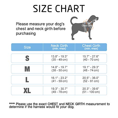 rabbitgoo Arnes Perro Pequeño con Lineas Reflecantes Arnés Perros Antitirones Coche Adiesreamiento Bicicleda Correr Chaleco Acolchado Ajustable Color Negro