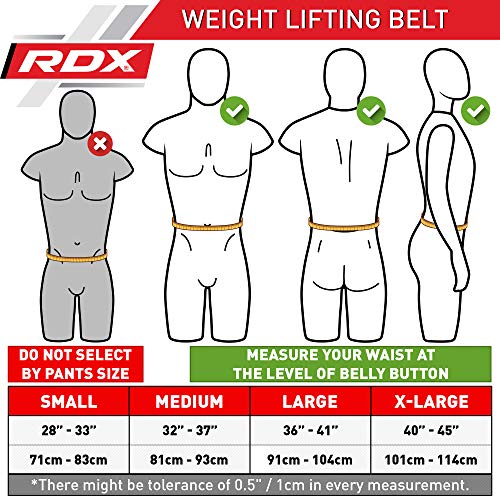 RDX Gimnasio Cinturón Ejercicio Musculacion Entrenamiento Pesas Cinturones Levantamiento