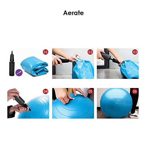 REEHUT Pelota de Ejercicio Anti-Burst para Yoga, Equilibrio, Fitness, Entrenamiento, incluidos Bomba y Manual de Usuario - Azul 65cm