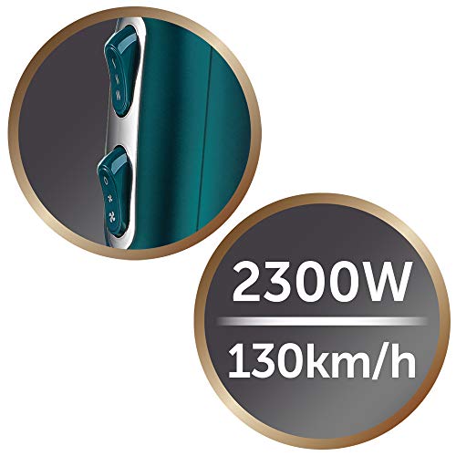 Remington Advanced Coconut Therapy AC8648 - Secador de Pelo, Secador Iónico, 2 Concentradores y 1 Difusor, 2300 W, Azul