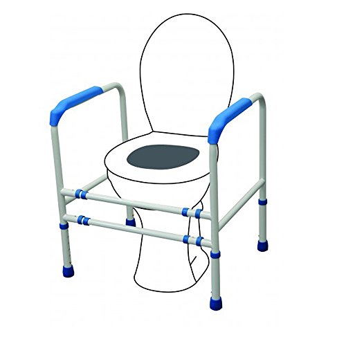 Reposabrazos auxiliares para WC