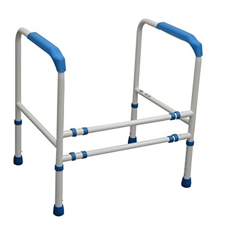 Reposabrazos auxiliares para WC