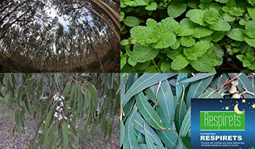 RESPIRETS confort respiratorio 12 toallitas infantiles aromáticas balsámicas, facilitan la respiración por la nariz, suavizan la garganta y calman la tos