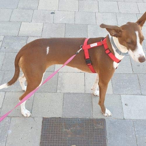 Resppet Arnés para Perro. Arnés para Perro en Forma de H, Color Rojo. (M)