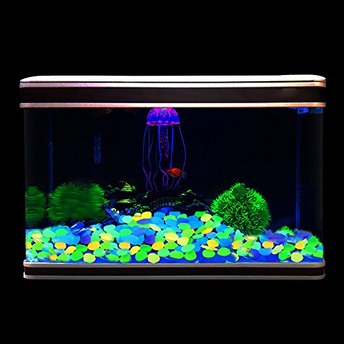 RETON 500 Piedras Man-Made Glow Piedras Luminosas Decorativas para Jardín Pasillo Yarda & Pecera Decoración Piedras (Color Mezclado)