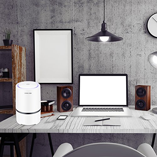 RIGOGLIOSO - Ionizador de Escritorio, purificador portátil de Aire HEPA, Elimina el Humo del Cigarrillo, Polvo, Polen, Malos olores, con Cable USB de 5 V, 125195 mm