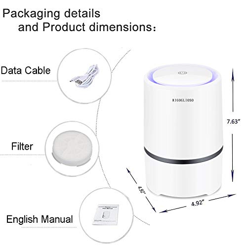 RIGOGLIOSO - Ionizador de Escritorio, purificador portátil de Aire HEPA, Elimina el Humo del Cigarrillo, Polvo, Polen, Malos olores, con Cable USB de 5 V, 125195 mm