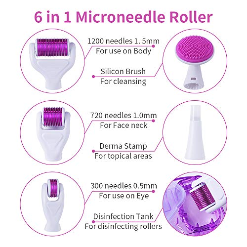 Rodillo Agujas,6 en 1 Derma Roller Rodillo de Micro Agujas Dermaroller para Cuidado de la Piel,Anti-Edad,Antiarrugas, Eliminación de Cicatrices Acne, Poro Contractivo