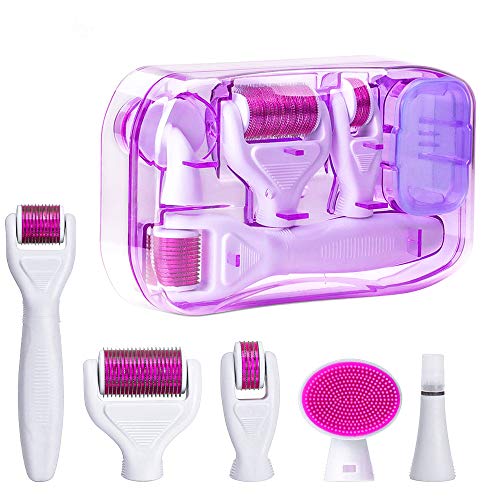Rodillo Agujas,6 en 1 Derma Roller Rodillo de Micro Agujas Dermaroller para Cuidado de la Piel,Anti-Edad,Antiarrugas, Eliminación de Cicatrices Acne, Poro Contractivo