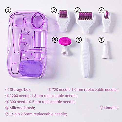 Rodillo Agujas,6 en 1 Derma Roller Rodillo de Micro Agujas Dermaroller para Cuidado de la Piel,Anti-Edad,Antiarrugas, Eliminación de Cicatrices Acne, Poro Contractivo