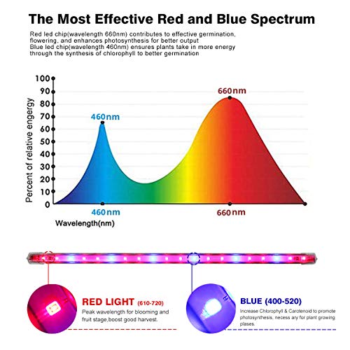 Roleadro LED Cultivo Interior 60w IP65 Lámpara Cultivo LED Grow LED Light con Temporizador 3H/6H/12H y Regulable Brillo para Armario Cultivo Interior/Plantas de Interior/Invernadero[ 6 tira ]