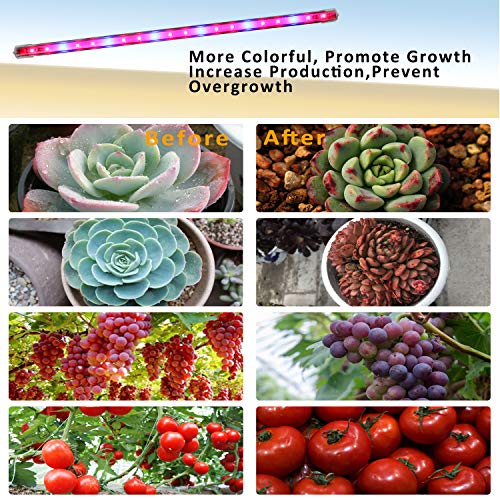 Roleadro LED Cultivo Interior 60w IP65 Lámpara Cultivo LED Grow LED Light con Temporizador 3H/6H/12H y Regulable Brillo para Armario Cultivo Interior/Plantas de Interior/Invernadero[ 6 tira ]