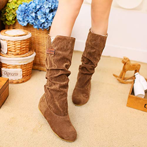 Rong-- Botas Altas para Mujer Retro Suave Botas Ante Botas Largas Zapatos con Forro Transpirable para Otoño E Invierno, Diseño De Cabeza Redonda,Beige,35