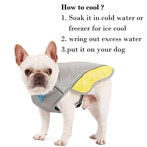 Ropa de enfriamiento para mascotas,CHshe??,Traje frío para mascotas Chaleco frío Verano Transpirable,Traje de enfriamiento para mascotas,Un gran regalo para mascotas. (gris)