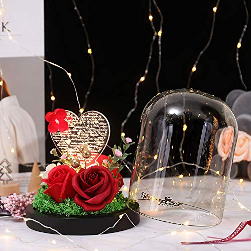 Rosa Bella y Bestia, Rosa Elegante Cúpula de Cristal con Base Pino Luces LED, Alimentado por USB, Regalos Magicos para Día de San Valentín Aniversario Bodas Decoración