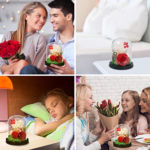 Rosa Bella y Bestia, Rosa Elegante Cúpula de Cristal con Base Pino Luces LED, Alimentado por USB, Regalos Magicos para Día de San Valentín Aniversario Bodas Decoración