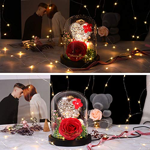 Rosa Bella y Bestia, Rosa Elegante Cúpula de Cristal con Base Pino Luces LED, Alimentado por USB, Regalos Magicos para Día de San Valentín Aniversario Bodas Decoración