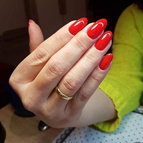 ROSLAIND Kit de inicio esmalte de uñas de gel 24W/48W Luz LED UV ajustable (3 temporizadores) remojo Gel 6pcs Verano Otoño Nude Color Set Herramientas de manicura Essentials Diseños de uñas