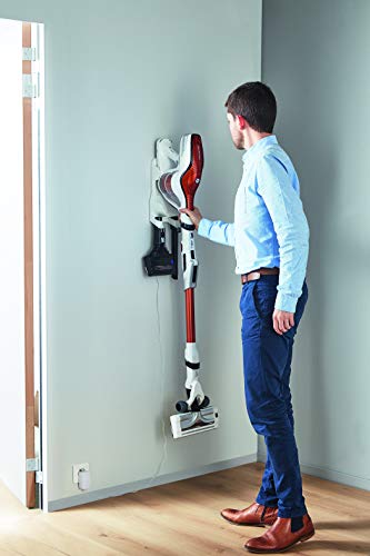 Rowenta Air Force Flex 560 RH9474WO Aspiradora de mano sin cable, tubo flexible para todos los rincones, hasta 35 minutos, accesorios para el hogar, coche y especial mascota