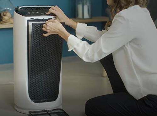 Rowenta Filtro Carbón Activo XD6060ES - Filtro recambio de carbón activo para purificador Rowenta Air Intense PU4020, filtro para partículas grandes, reduce el olor