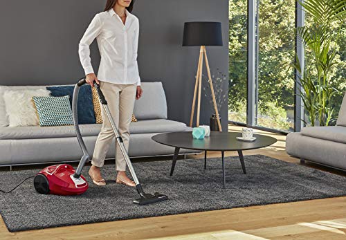 Rowenta RO3953 Compact Power aspiradora con Bolsa, 750 W, 3 litros, 79 Decibelios, Rojo