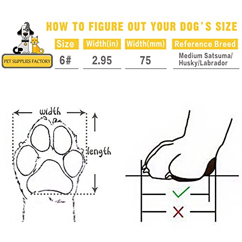 RoyalCare Zapatos Perro, Impermeable Zapatos Perro para Mediano y Grandes Perros - Negro (6#)