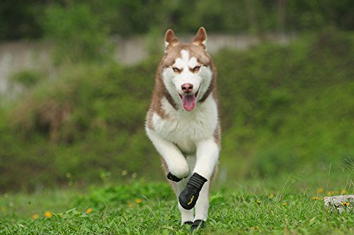 RoyalCare Zapatos Perro, Impermeable Zapatos Perro para Mediano y Grandes Perros - Negro (6#)