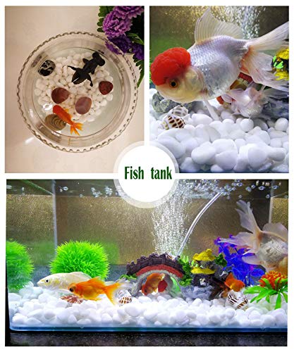 Ruiuzioong Pebbles grava pulida, piedras de colores mixtos pulidas naturales, pequeñas piedras decorativas de río (blanco-32 oz)