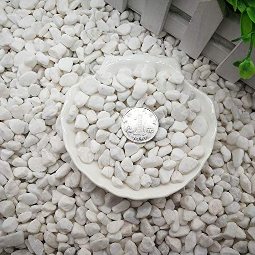 Ruiuzioong Pebbles grava pulida, piedras de colores mixtos pulidas naturales, pequeñas piedras decorativas de río (blanco-32 oz)