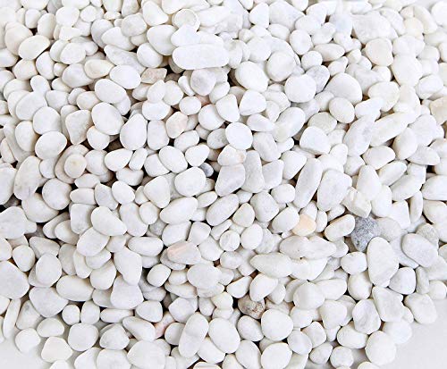 Ruiuzioong Pebbles grava pulida, piedras de colores mixtos pulidas naturales, pequeñas piedras decorativas de río (blanco-32 oz)