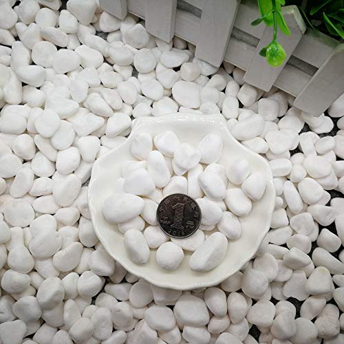 Ruiuzioong Pebbles grava pulida, piedras de colores mixtos pulidas naturales, pequeñas piedras decorativas de río (blanco-32 oz)