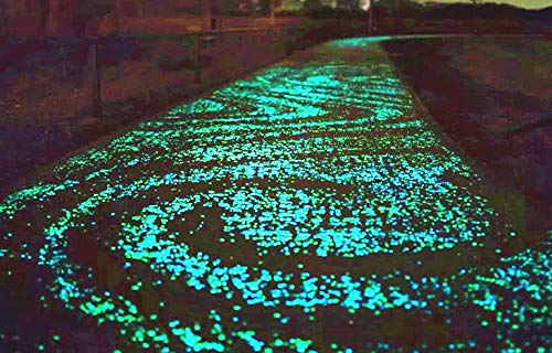 Ruiuzioong - Piedras luminosas, piedras brillantes, 200 piedras decorativas para jardín, decoración al aire libre, acuario, acuario, pecera, camino L (200 unidades, blanco)