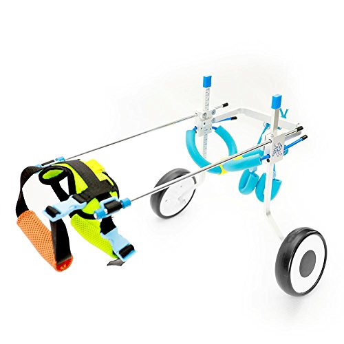 Rungao - Silla de ruedas ajustable para perros pequeños con discapacidades, 2 ruedas (XS)