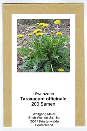 RWS Diente de león - Taraxacum officinale - Ensalada y. Planta medicinal - variedad Nouvelle - 200 semillas