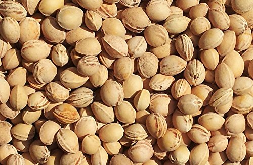 Saco térmico de semillas 30x20cm violeta | Almohada térmica | Cojín de calor y frio | Cojín con huesos de cerezas