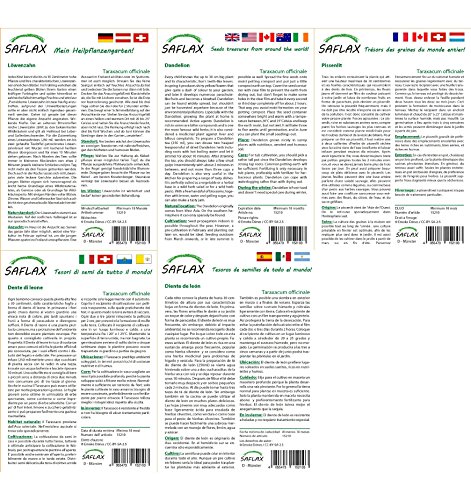 SAFLAX - Diente de león - 200 semillas - Con sustrato estéril para cultivo - Taraxacum officinale
