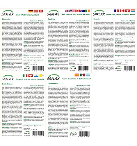 SAFLAX - Diente de león - 200 semillas - Taraxacum officinale