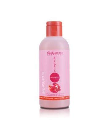 Salerm Pomegranate Champú 200 ml + Acondicionador 200 ml + Salerm21 Proteína de Seda 100ml