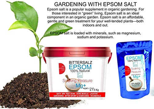 Sales Epsom Puras - Magnesio Natural 2.5 kg