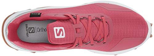 Salomon ALPHACROSS GTX W, Zapatillas de Trail Running para Mujer, Rojo (Garnet Rose/White/Gum1a), 40 EU