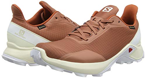 Salomon Alphacross GTX, Zapatillas de Trail Running para Hombre, Gris (Cedar Wood/Vanilla Ice/White), 44 2/3 EU