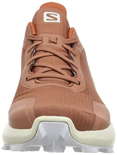 Salomon Alphacross GTX, Zapatillas de Trail Running para Hombre, Gris (Cedar Wood/Vanilla Ice/White), 44 2/3 EU