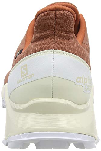 Salomon Alphacross GTX, Zapatillas de Trail Running para Hombre, Gris (Cedar Wood/Vanilla Ice/White), 44 2/3 EU