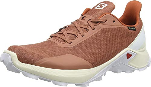 Salomon Alphacross GTX, Zapatillas de Trail Running para Hombre, Gris (Cedar Wood/Vanilla Ice/White), 44 2/3 EU
