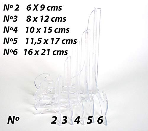Sanfor 53022 Soporte Plato, Talla única