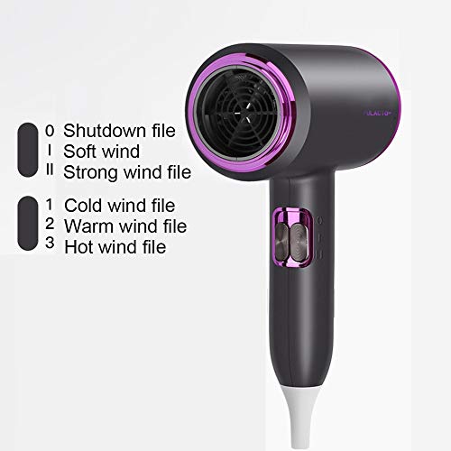 Secador de pelo portátil,Cuidado del cabello a temperatura constante/con difusor/Secador de cabello casero,Secador de cabello profesional para el cuidado del cabello de iones negativos