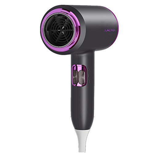 Secador de pelo portátil,Cuidado del cabello a temperatura constante/con difusor/Secador de cabello casero,Secador de cabello profesional para el cuidado del cabello de iones negativos
